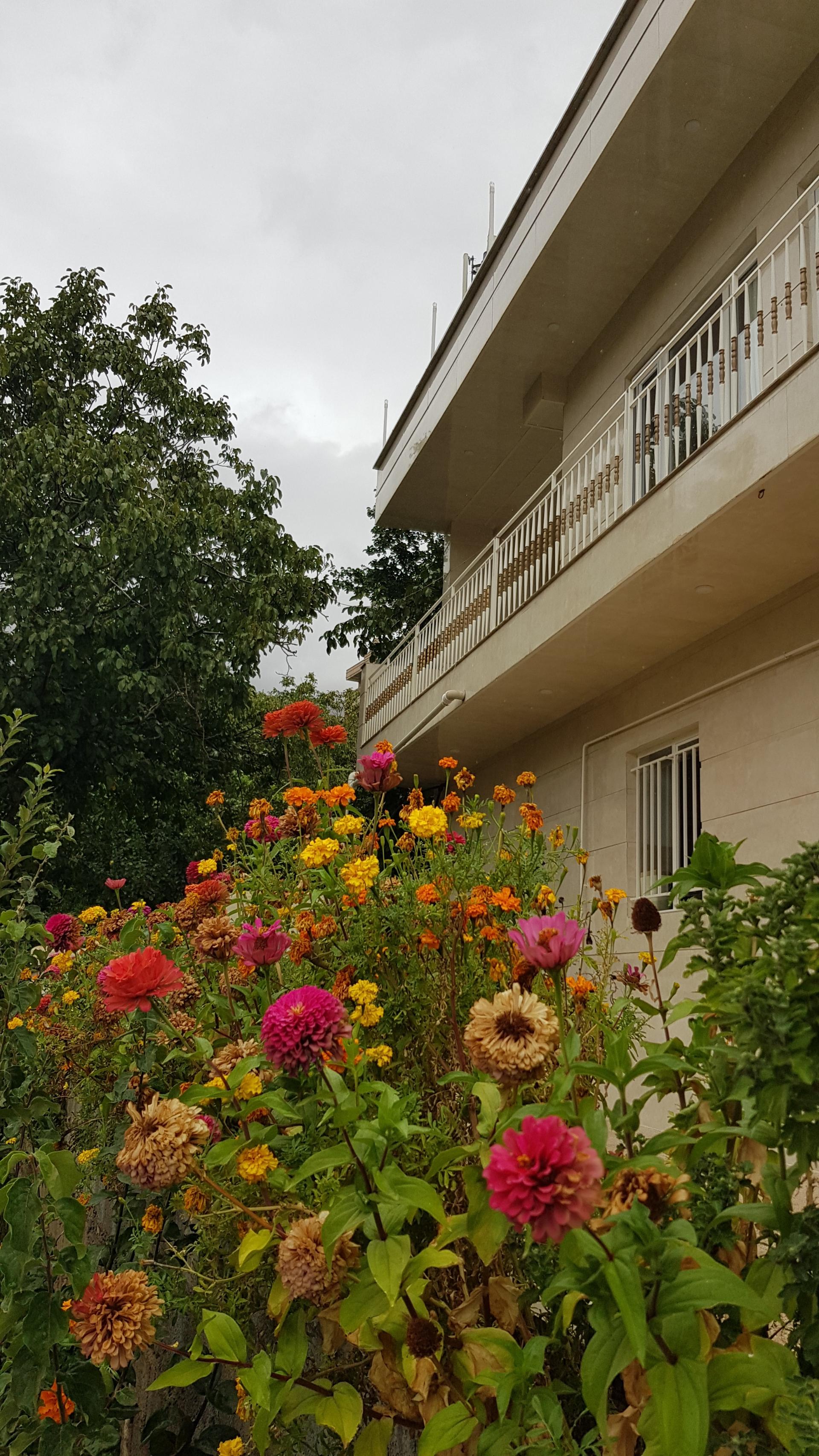 عکس ویلای مسافری سراب هولی