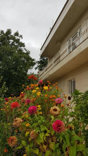 عکس ویلای مسافری سراب هولی