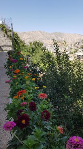 عکس ویلای مسافری سراب هولی