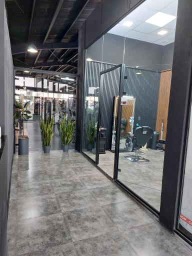 عکس باشگاه بدنسازی مای جیم