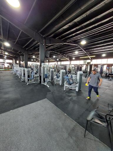 عکس باشگاه بدنسازی مای جیم
