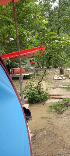 عکس کافه پرچال