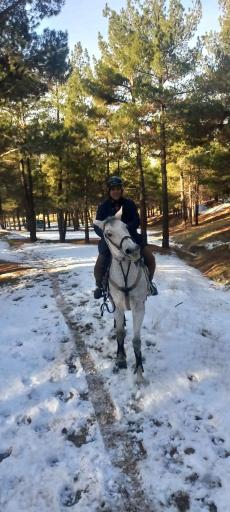 عکس باشگاه سوارکاری و چوگان ارتش ذوالجناح