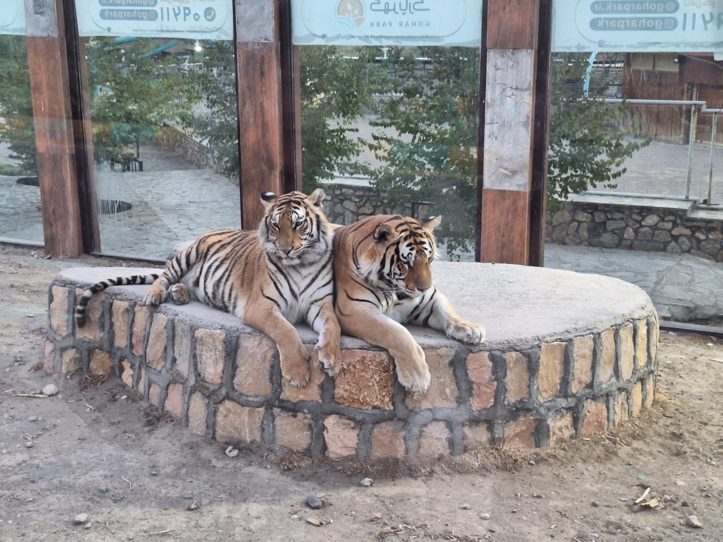 عکس گهر پارک سیرجان