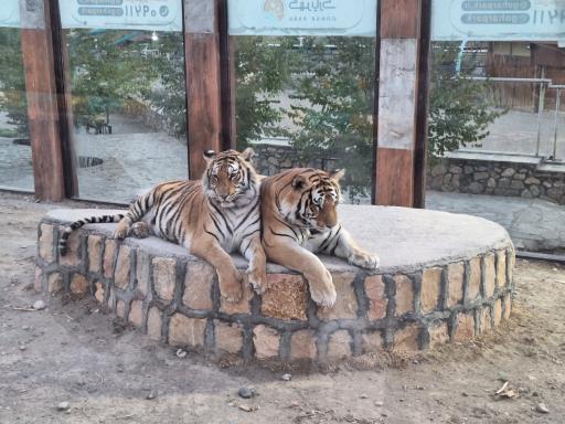 عکس گهر پارک سیرجان