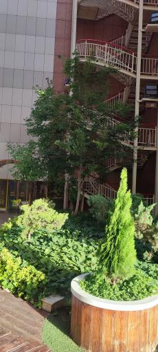 عکس هتل آپارتمان ستاره آرمان توس