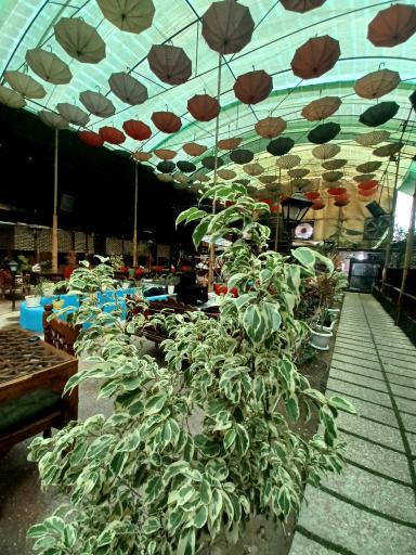 عکس کافه رستوران باغچه رودا