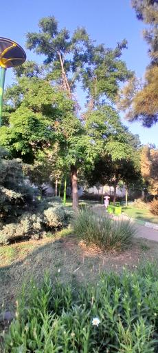 عکس بوستان ستاره