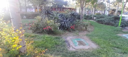 عکس بوستان ستاره