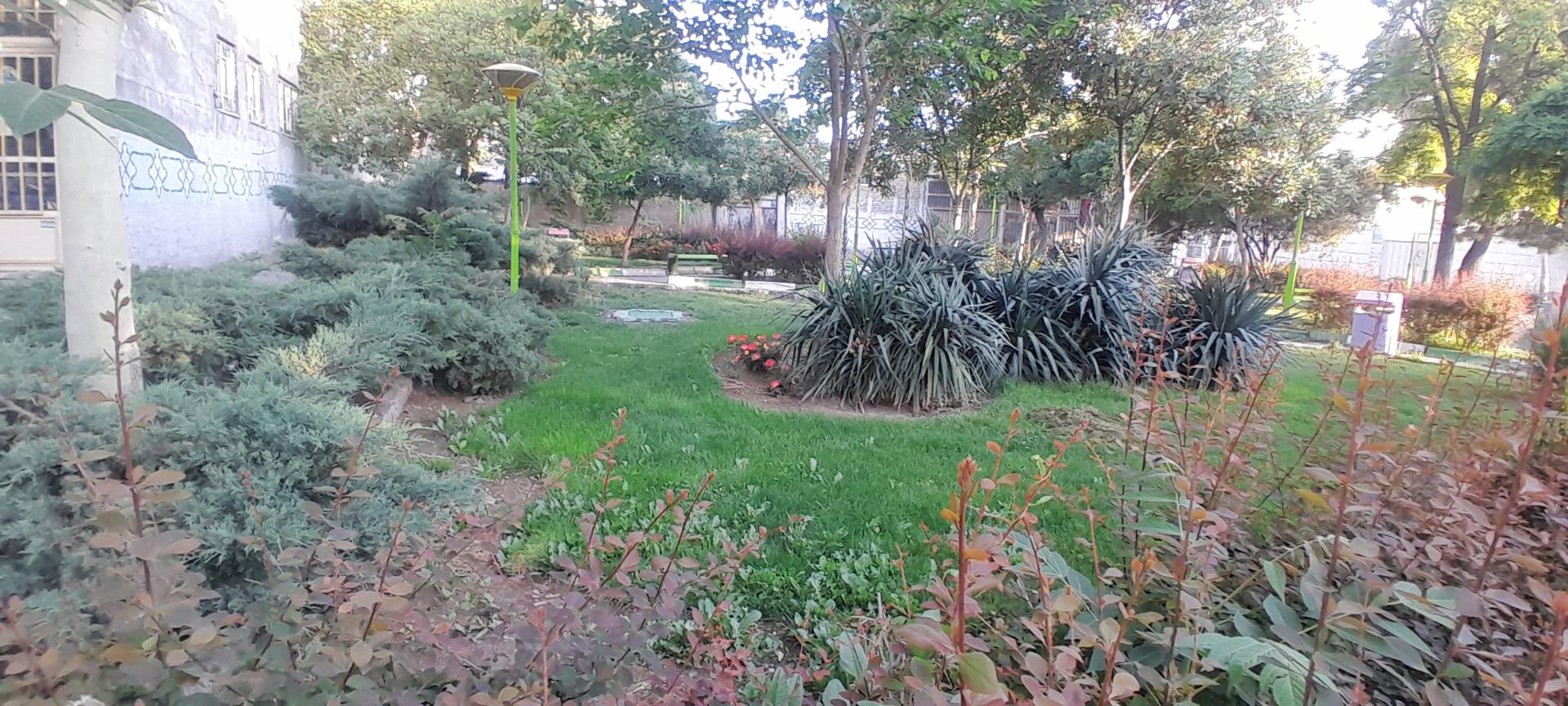 عکس بوستان ستاره