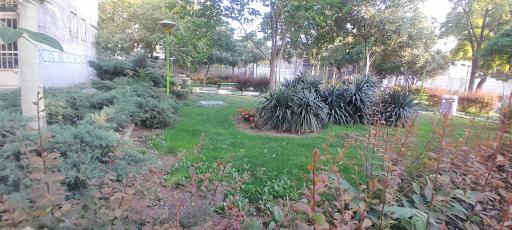 عکس بوستان ستاره