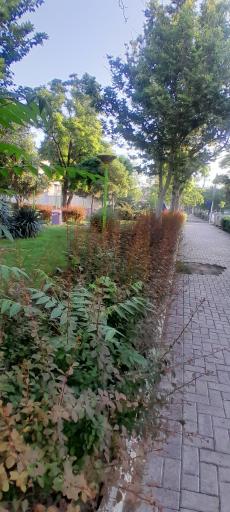 عکس بوستان ستاره