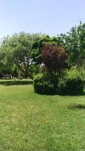 عکس بوستان شهدای کنگاز