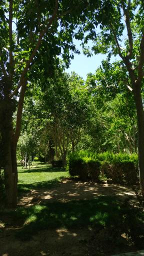 عکس بوستان شهدای کنگاز