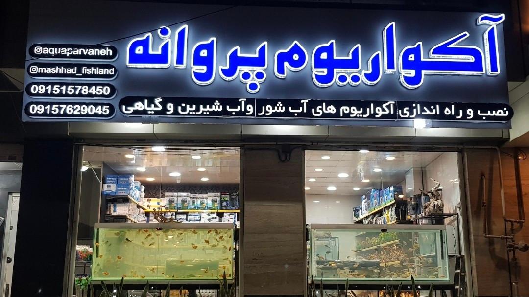 عکس آکواریوم پروانه 