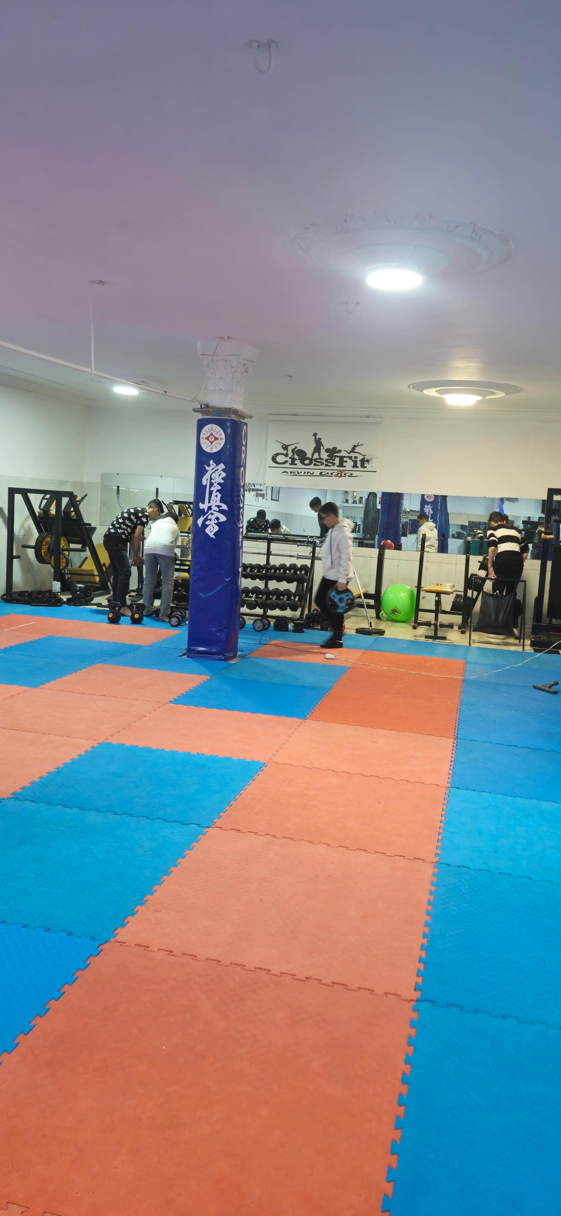 عکس باشگاه آروین