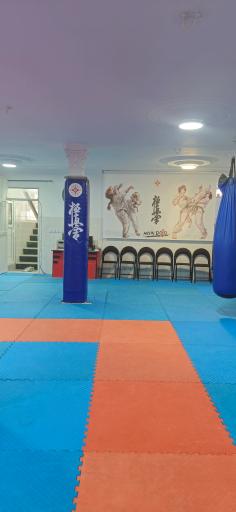 عکس باشگاه آروین