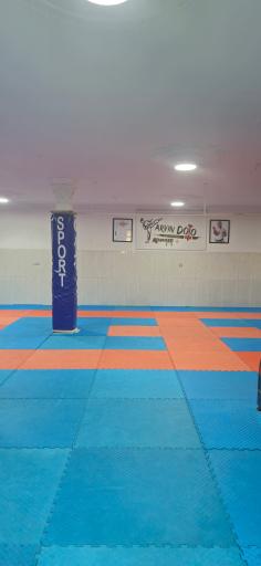 باشگاه آروین