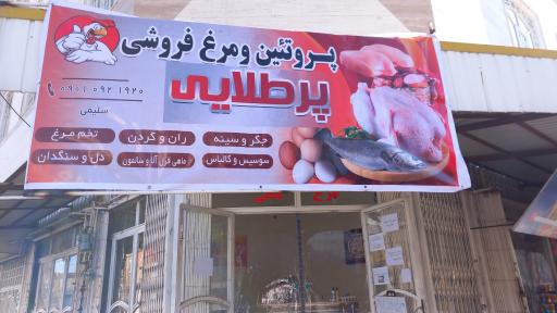 عکس پروتئینی و مرغ فروشی پر طلایی