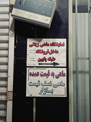 عکس آکواریوم پروانه 