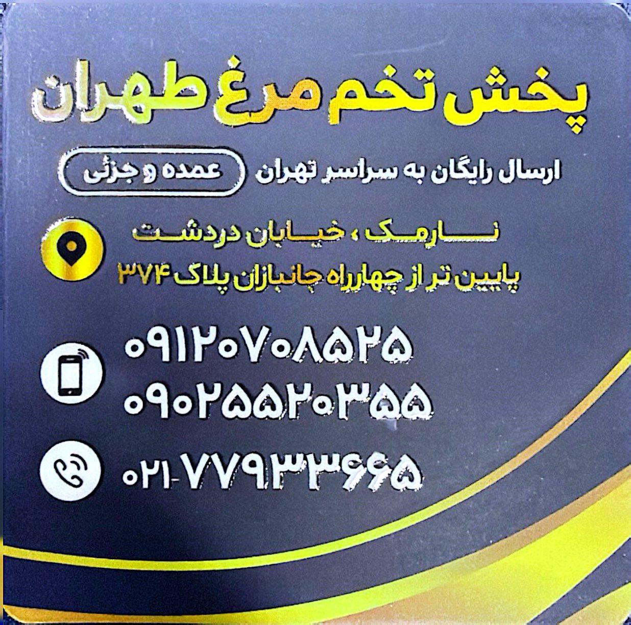 عکس پخش تخم مرغ طهران