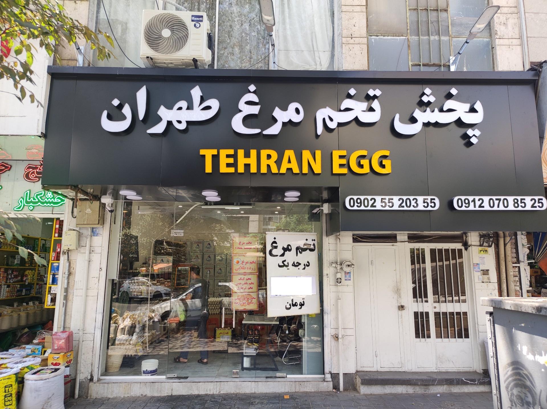 عکس پخش تخم مرغ طهران