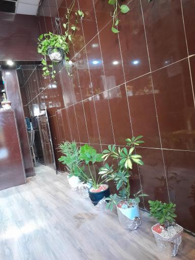 عکس کافه این