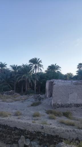 عکس پارک ولایت