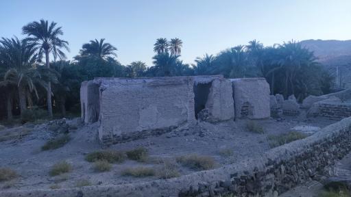 عکس پارک ولایت