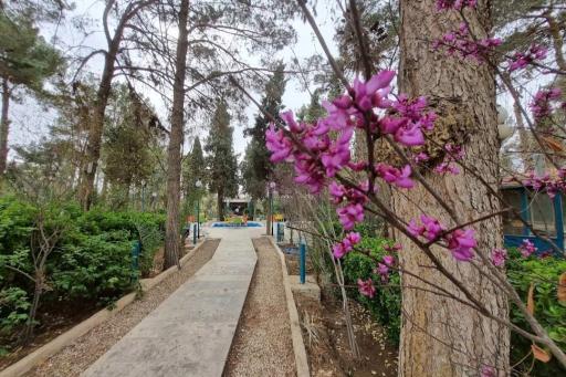 هتل پارسیان یزد