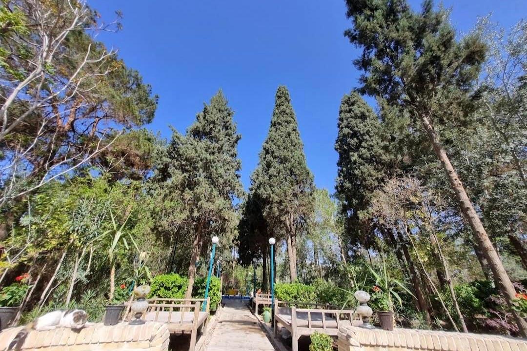 عکس هتل پارسیان یزد