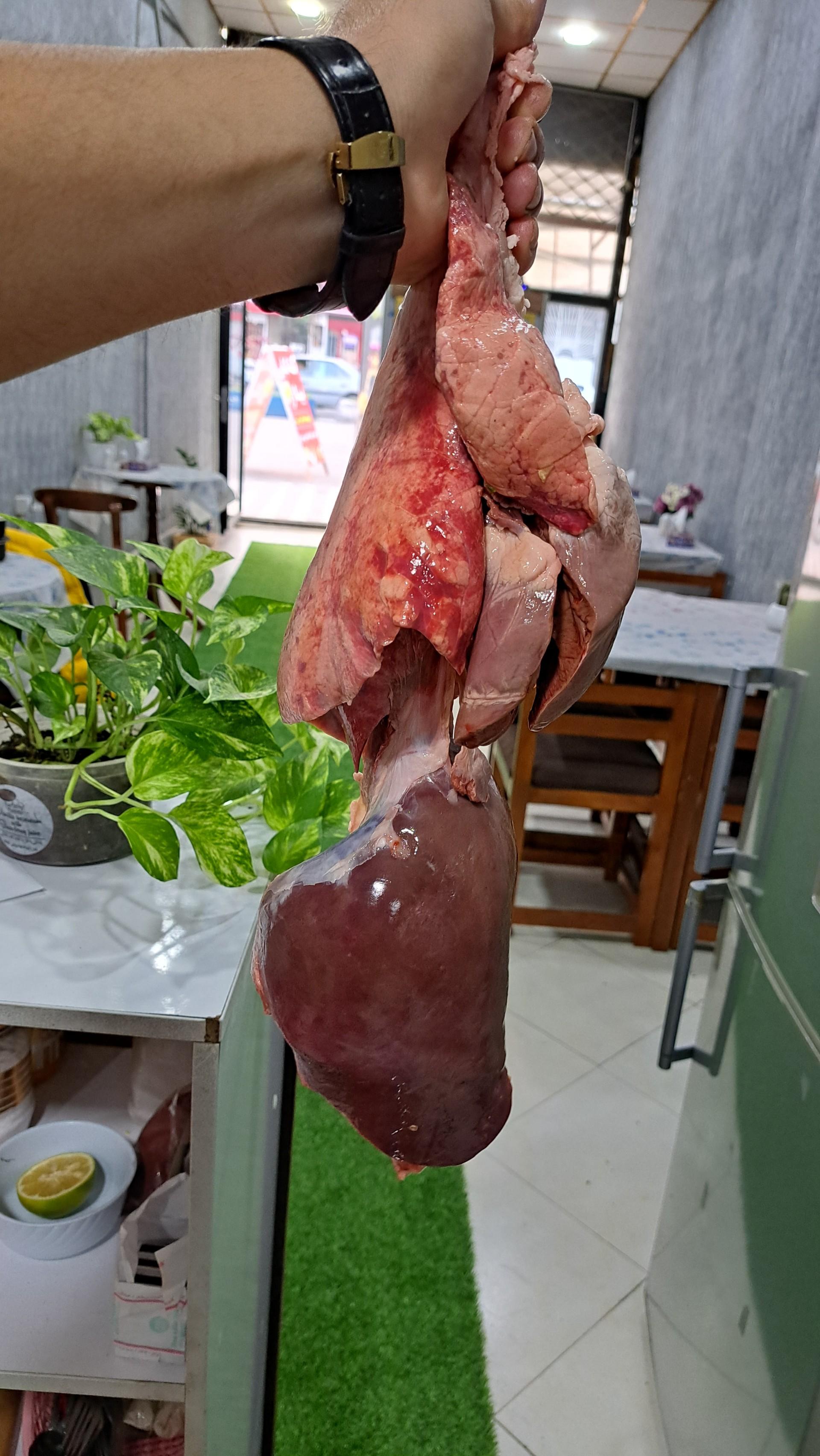 عکس کته کبابی بینا