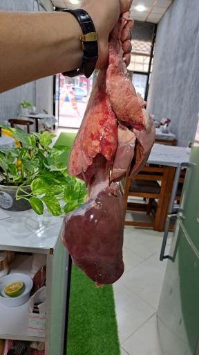 کته کبابی بینا