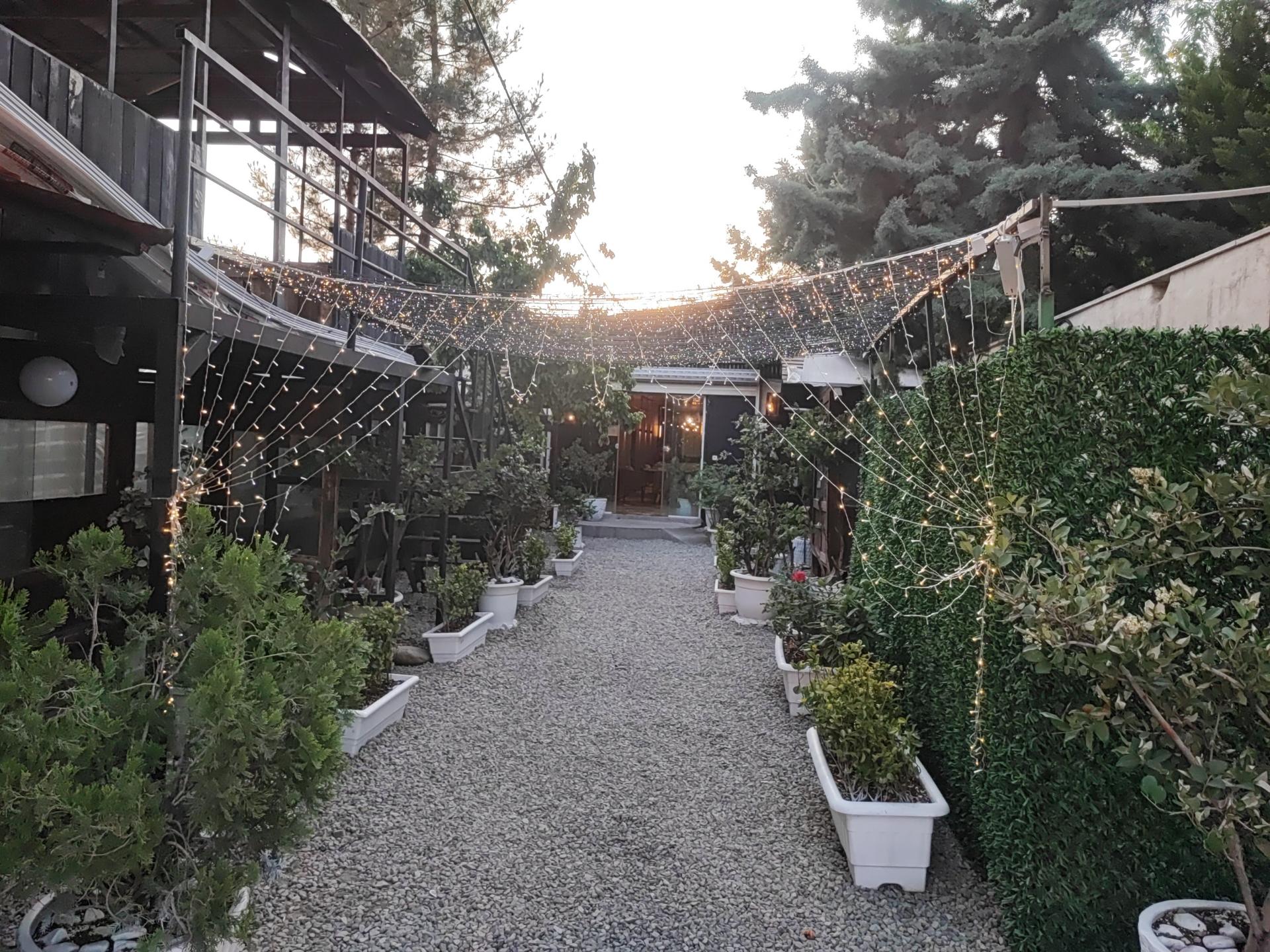 عکس کافه رستوران دانلی