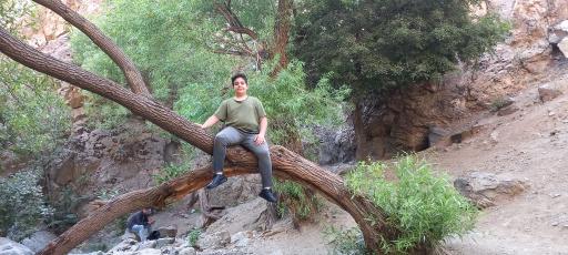 عکس آبشار چال پونه