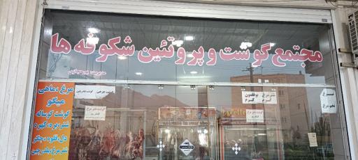 عکس مجتمع گوشت و پروتئین شکوفه ها