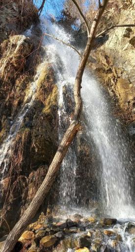 عکس آبشار چال پونه