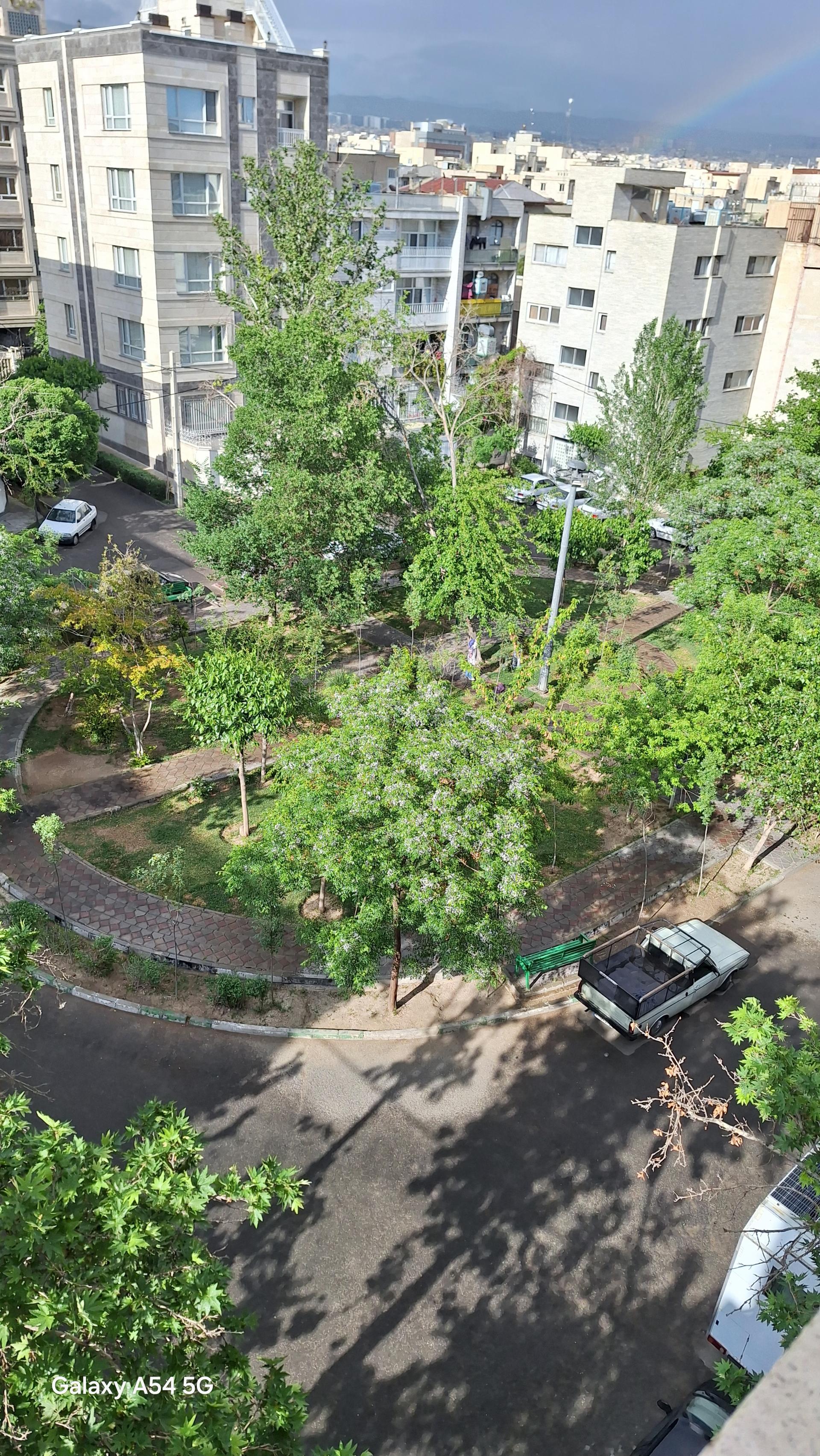 عکس میدان سی و هشتم