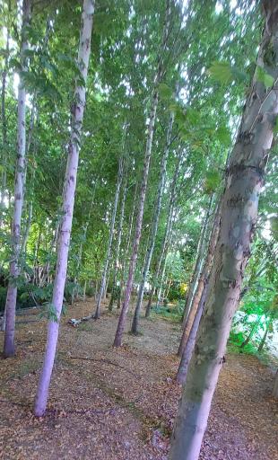 عکس باغ تالار شرق تهران (طوفان)