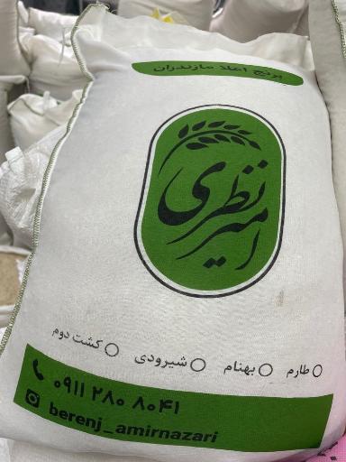 عکس برنج امیر نظری