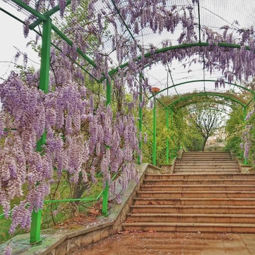 عکس دانشگاه دولتی یاسوج