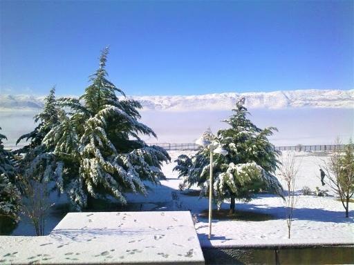 عکس دانشگاه دولتی یاسوج