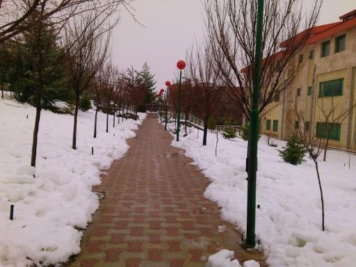 دانشگاه دولتی یاسوج