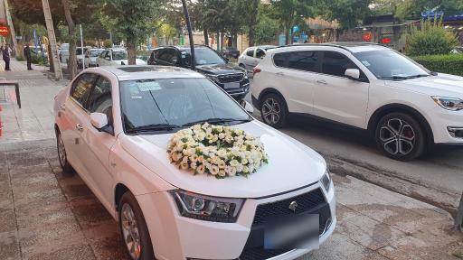 عکس گل فروشی گل نرگس