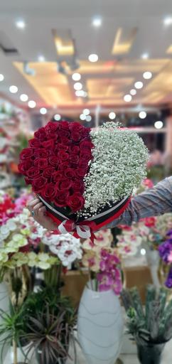 عکس گل فروشی گل نرگس