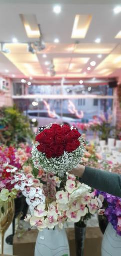 عکس گل فروشی گل نرگس