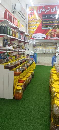 عکس دنیای ترشی 