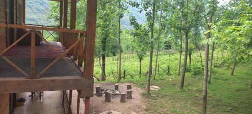 عکس اقامتگاه چوبی شیروان صفری