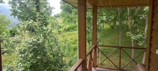 عکس اقامتگاه چوبی شیروان صفری