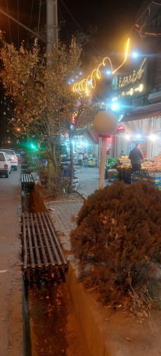 عکس فروشگاه مرغ و ماهی سیمرغ